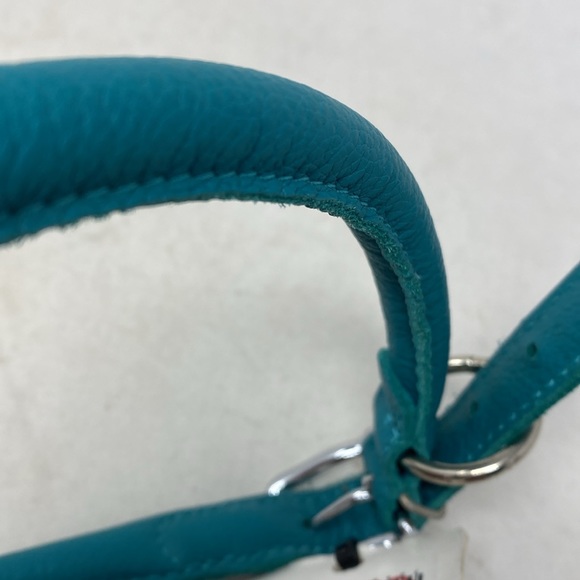NWT Dog Line Group Rounded Teal Leather Dog Collar -  22”-25” - Picture 5 of 8